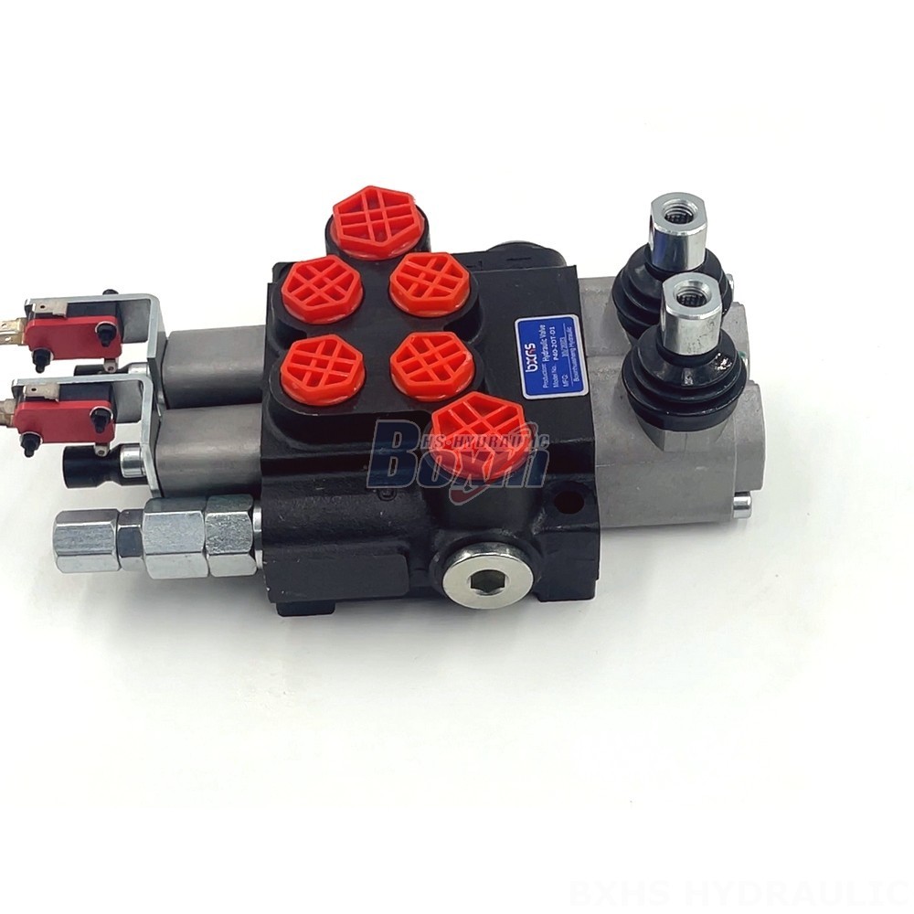 Custom Hydraulic Solutions: Design & Manufacture P40 Valves to Your Specifications detail image